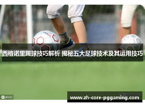 西格诺里踢球技巧解析 揭秘五大足球技术及其运用技巧