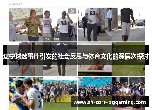辽宁球迷事件引发的社会反思与体育文化的深层次探讨