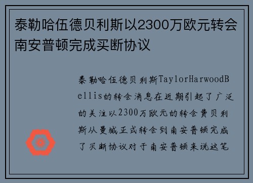 泰勒哈伍德贝利斯以2300万欧元转会南安普顿完成买断协议